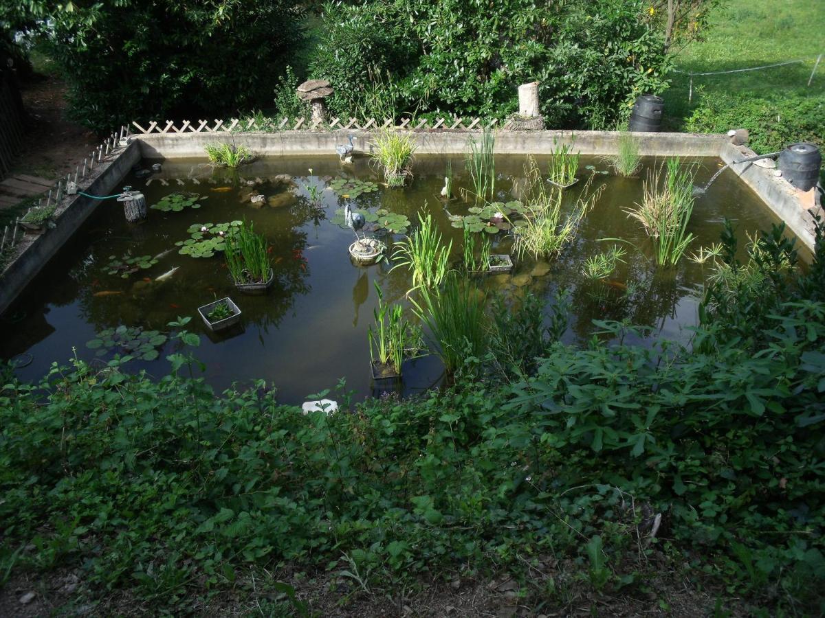 Domaine De La Provenc'Ane Villa Salernes Bagian luar foto