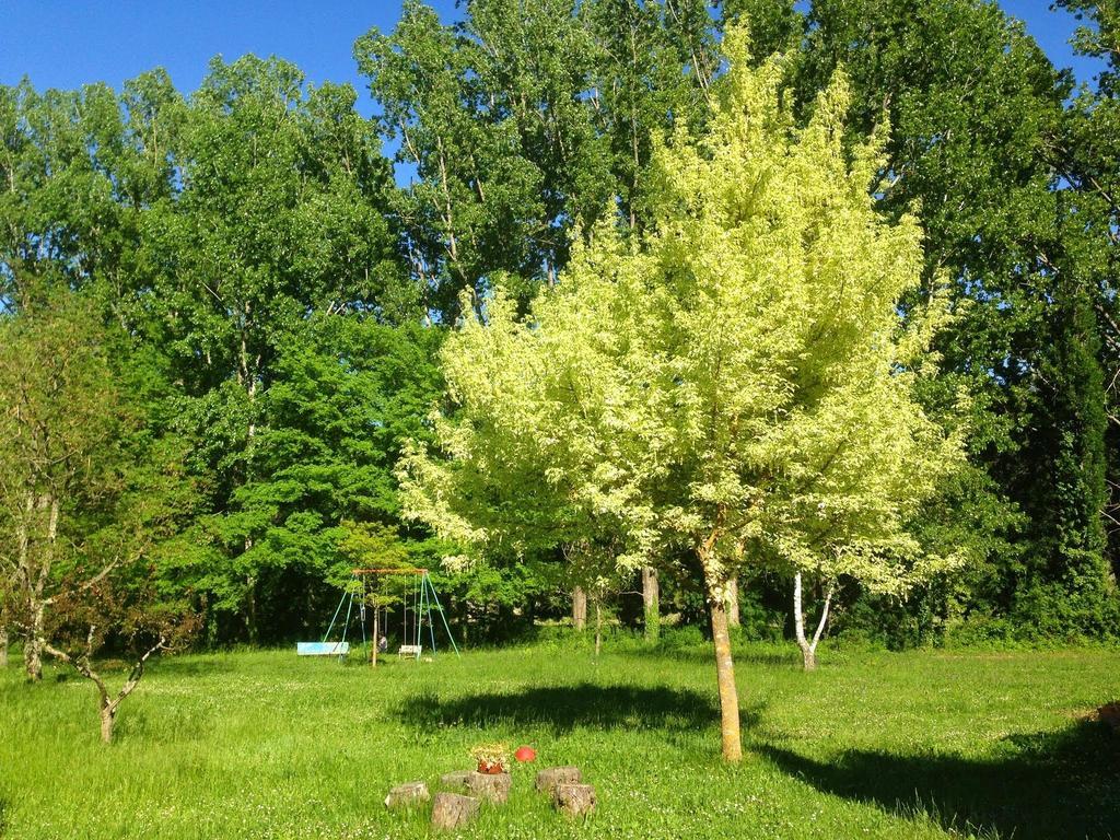 Domaine De La Provenc'Ane Villa Salernes Bagian luar foto