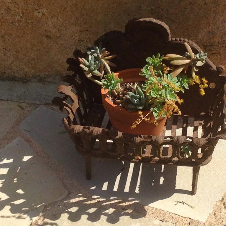 Domaine De La Provenc'Ane Villa Salernes Ruang foto